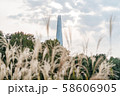 葦 公園 オリンピック公園 58606905