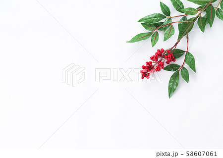 南天（造花） 58607061