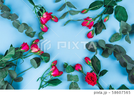 Beautiful sprigs of eucalyptus and roses on blue background, top view. 58607565