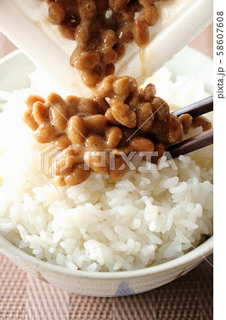 納豆ごはん 納豆ごはん 58607608