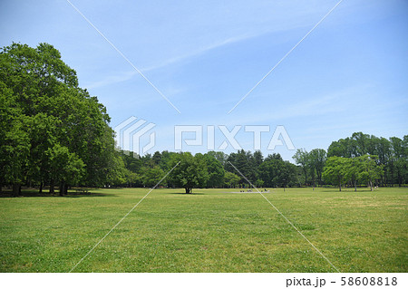 東京都小金井市 小金井公園 いこいの広場 東京都小金井市 小金井公園 いこいの広場 58608818
