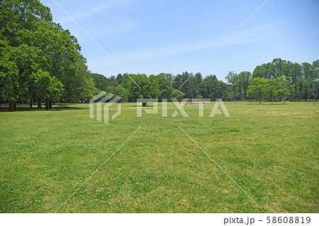 東京都小金井市　小金井公園　いこいの広場 58608819