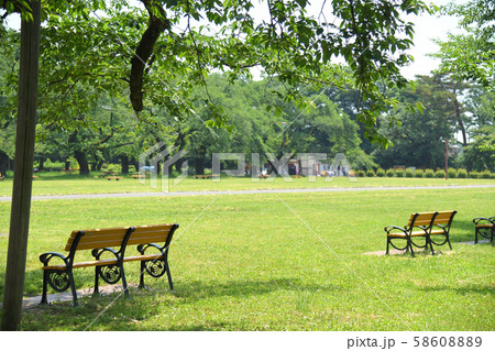 東京都小金井市 小金井公園 東京都小金井市 小金井公園 58608889