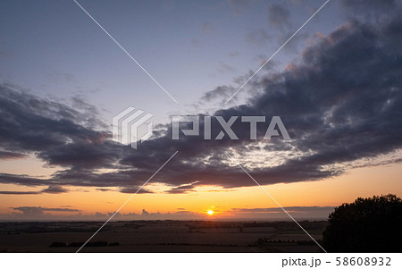 Horses pasturing in a rural landscape under warm sunlight with blue yellow and orange colors grazing Horses pasturing in a rural landscape under warm sunlight with blue yellow and orange colors grazing 58608932