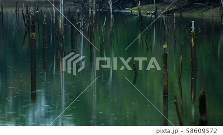 海上大正池 58609572