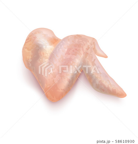 Isolated Chicken Wing on White Background in Realistic Style Isolated Chicken Wing on White Background in Realistic Style 58610930