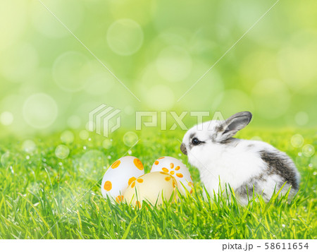 Painted Easter eggs and white rabbit on the green 58611654
