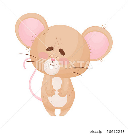 Cartoon mouse is standing and smiling. Vector illustration. Cartoon mouse is standing and smiling. Vector illustration. 58612253