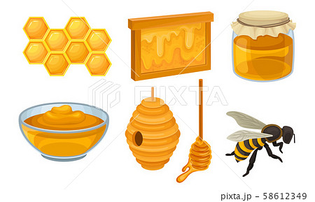 Honey Icon Set Realistic Glossy Vector Collectionのイラスト素材