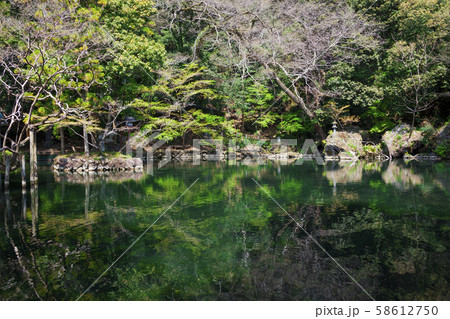 出流原弁天池01 58612750