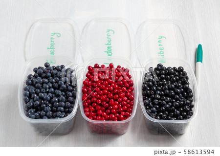 Berries laid out in containers, signed with a marker and prepared for freezing and storage Berries laid out in containers, signed with a marker and prepared for freezing and storage 58613594