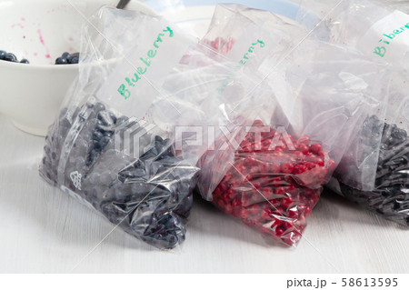 Berries laid out on a bags and prepared for freezing and storage 58613595