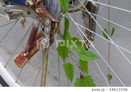 放置自転車にヘクソカズラのつる 放置自転車にヘクソカズラのつる 58613596