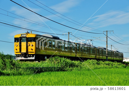 山陽本線、庭瀬・中庄駅間を走る普通列車(115系) 山陽本線、庭瀬・中庄駅間を走る普通列車(115系) 58613601