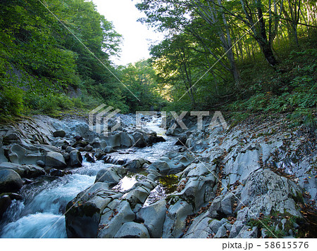 中津川渓谷 58615576
