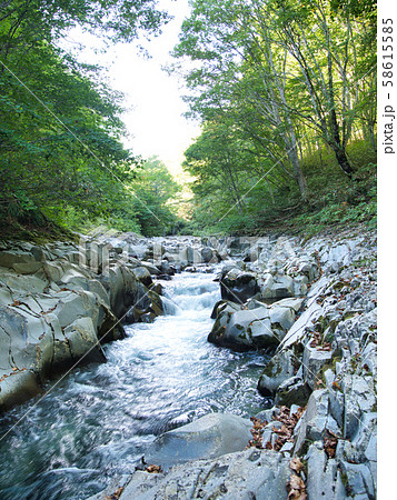 中津川渓谷 58615585