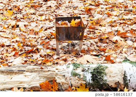 rusty grill on meadow covered by fallen leaves 58616137