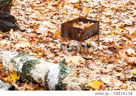 abandoned grill on meadow covered by fallen leaves 58616138