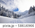 冬の八ヶ岳 3 58616966