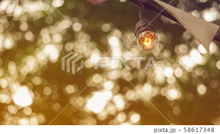 festive party light bulbs hanging with green tree festive party light bulbs hanging with green tree 58617348