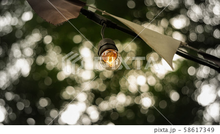 festive party light bulbs hanging with green tree festive party light bulbs hanging with green tree 58617349