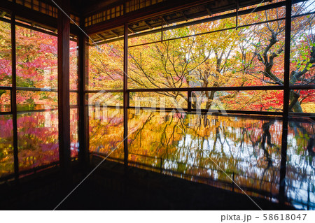 秋の瑠璃光院 秋の瑠璃光院 58618047