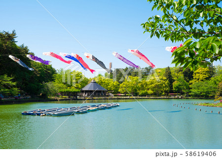 千葉公園 こいのぼり 鯉のぼり (千葉県千葉市中央区) 2019年5月撮影 千葉公園 こいのぼり 鯉のぼり (千葉県千葉市中央区) 2019年5月撮影 58619406