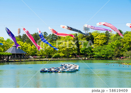 千葉公園 こいのぼり 鯉のぼり （千葉県千葉市中央区） 2019年5月撮影 58619409