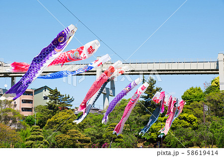 千葉公園 こいのぼり 鯉のぼり 千葉県千葉市中央区 19年5月撮影の写真素材