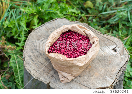 Fresh harvest of pink beans in a bag Fresh harvest of pink beans in a bag 58620241