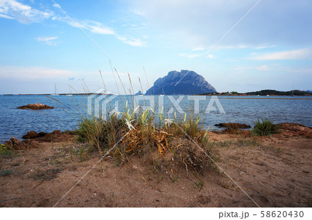 Beach in Porto San Paolo, Sardinia, Italy. View to Beach in Porto San Paolo, Sardinia, Italy. View to 58620430