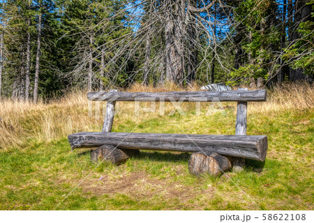 Wooden bench in the woods, sunnz meadow and trees in background Wooden bench in the woods, sunnz meadow and trees in background 58622108