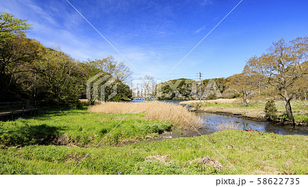 湿原（春） 58622735