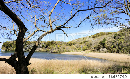 湿原（春） 58622740