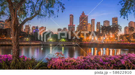 Lake in City Park under Skyscrapers at Night Lake in City Park under Skyscrapers at Night 58622910