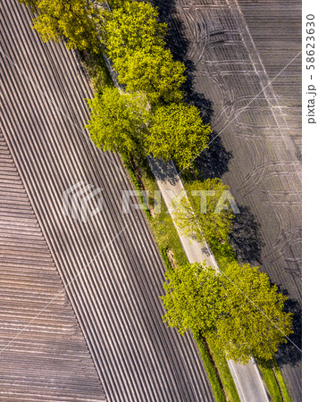 Sown potatoe field aerial Sown potatoe field aerial 58623630