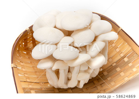 白しめじ 白しめじ 58624869