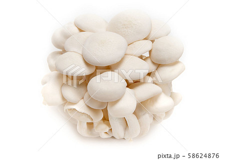 白しめじ 白しめじ 58624876