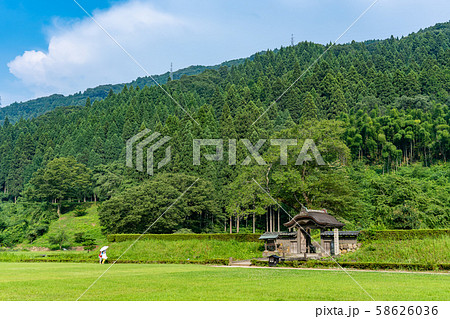 福井県 一乗谷朝倉氏遺跡 菩提寺の門 唐門 福井県 一乗谷朝倉氏遺跡 菩提寺の門 唐門 58626036
