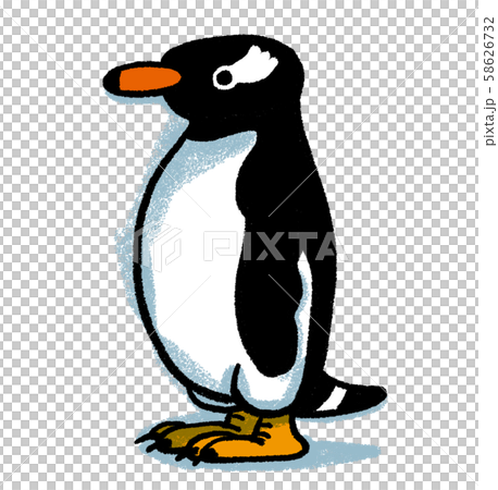 ジェンツーペンギン 58626732