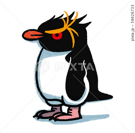 イワトビペンギンのイラスト素材 58626733 Pixta