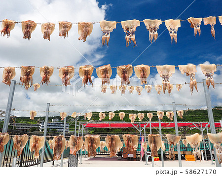 トビイカの天日干し 58627170