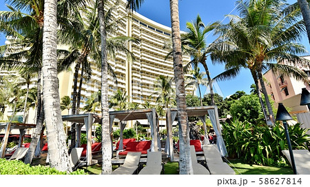ハワイの休日 58627814