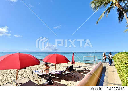 ハワイの休日 58627815