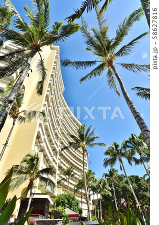 ハワイの休日 58627816