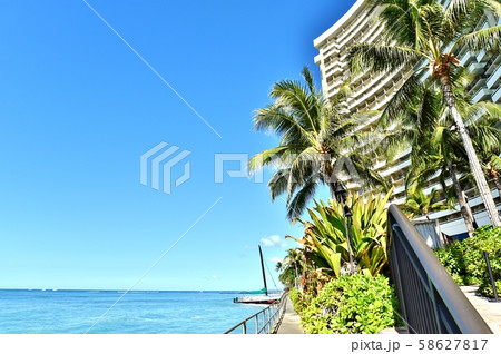 ハワイの休日 58627817