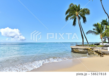 ハワイの休日 ハワイの休日 58627818