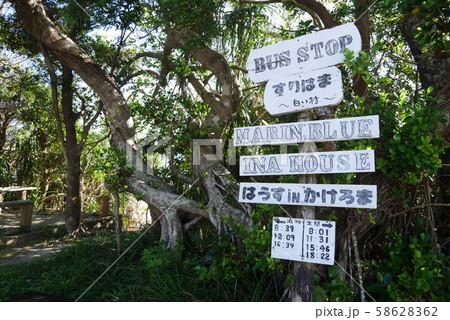 奄美　南国　スリ浜 58628362