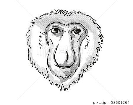 Proboscis Monkey Endangered Wildlife Cartoon Retro 58631264