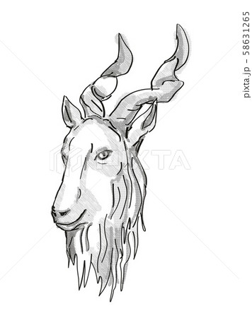 Markhor Endangered Wildlife Cartoon Retro Drawing 58631265